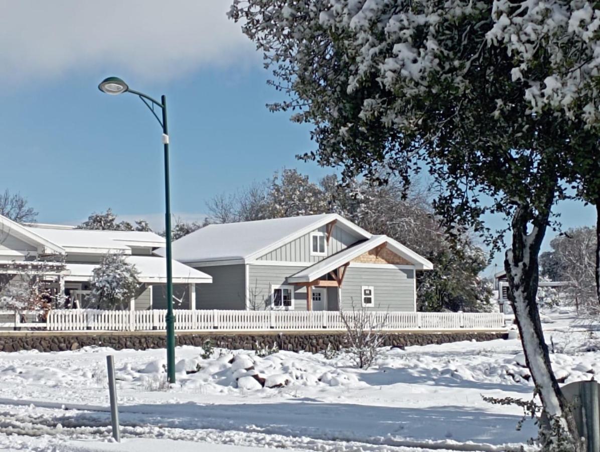 Zini House
