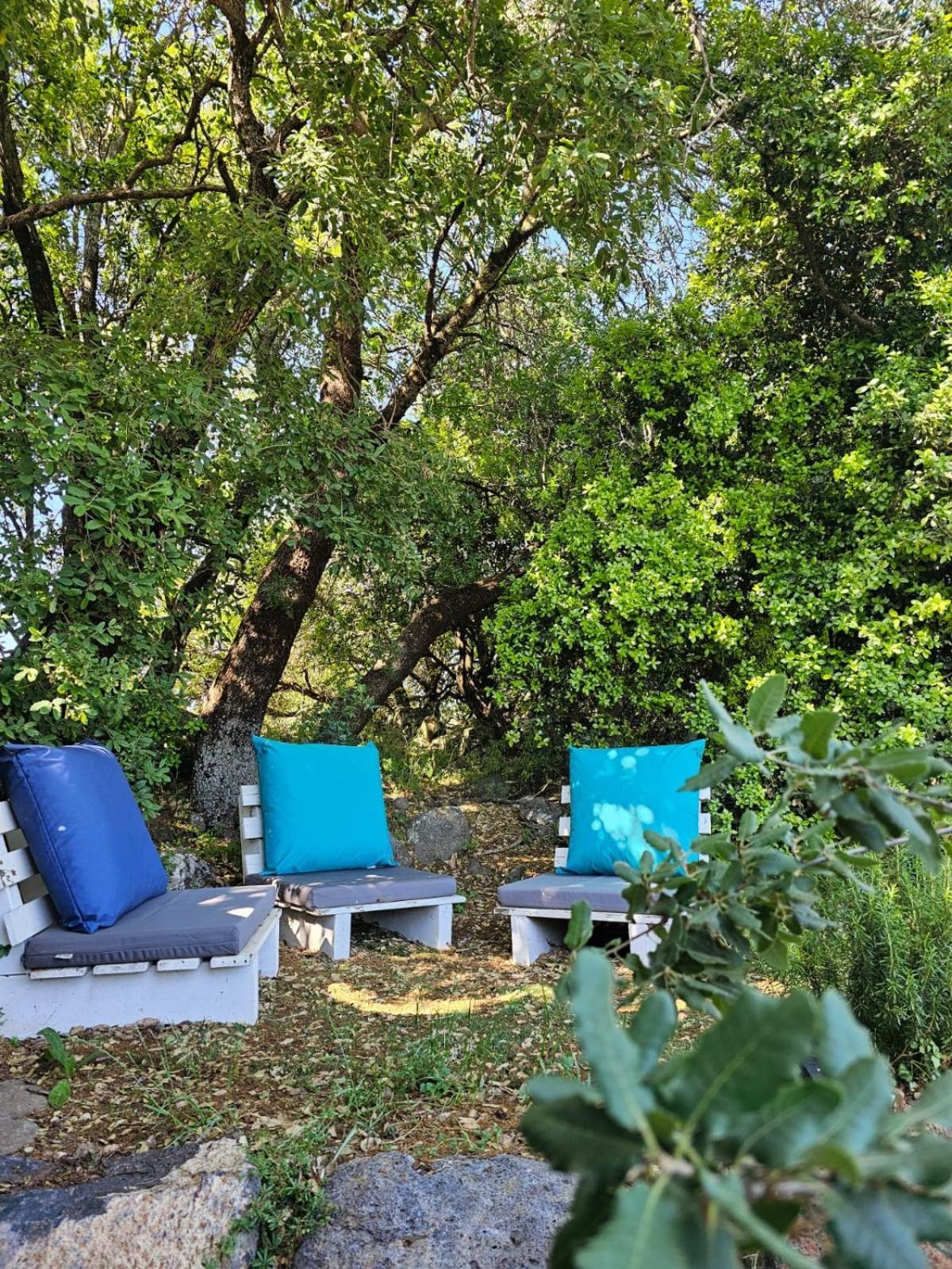 Hébergement de vacances Zini House Ein Zivan
